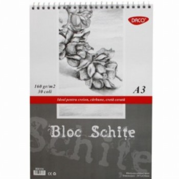 Bloc A3 Schite 160gr 30 File