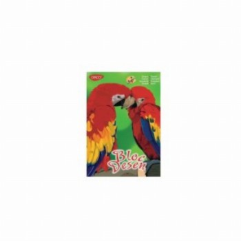 Bloc Desen A4 16 File 170gr 10 Buc