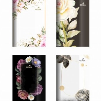 Caiet A5 48 File Repertoar 10 Buc