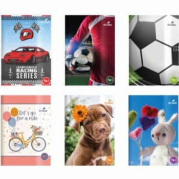 Caiet A5 Tip 1 20 Buc