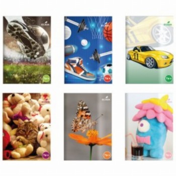 Caiet A5 Tip 2 20 Buc