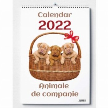 Calendar Perete 2025 Animale De Companie