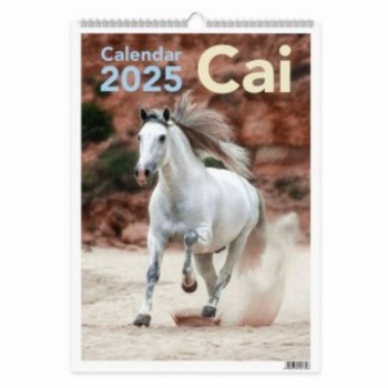 Calendar Perete 2025 Cai 3 Buc