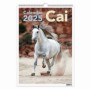 Calendar Perete 2025 Cai 3 Buc