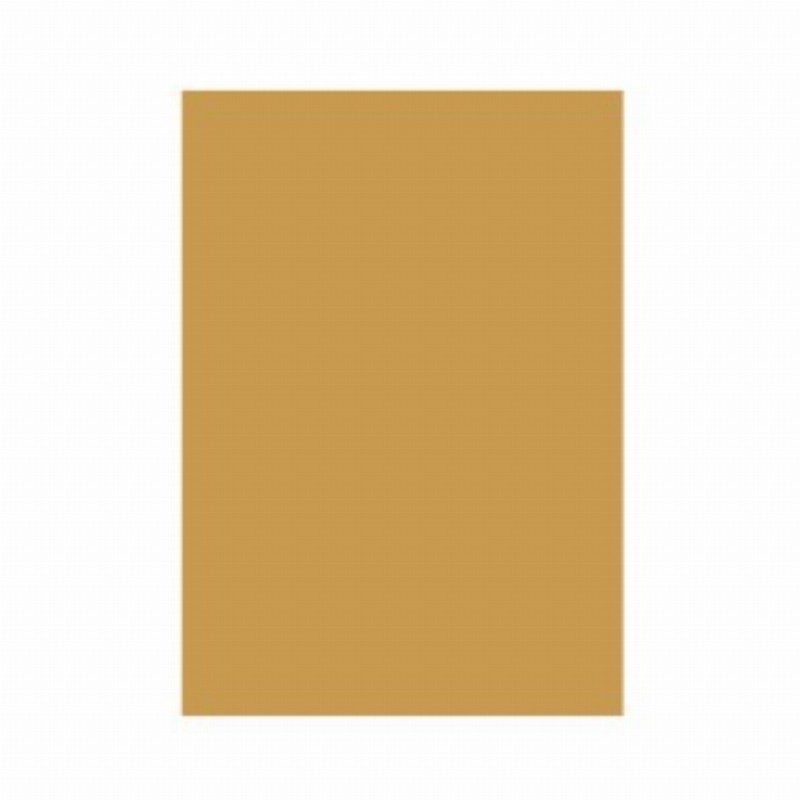 Carton Color 160g Mp A4 Auriu