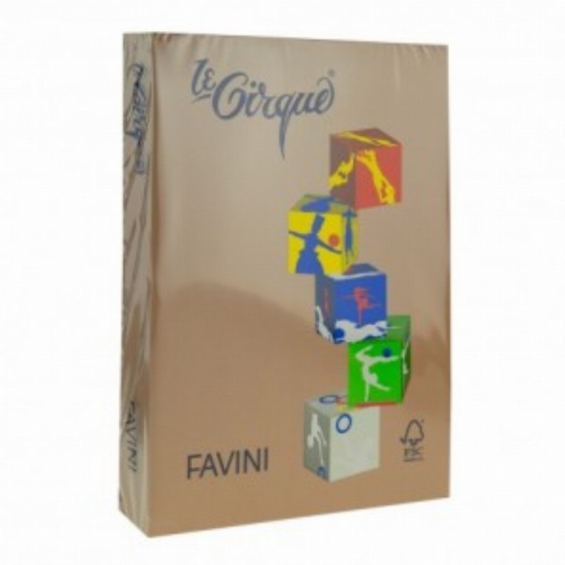 Carton Color 160g Mp A4 300 Maro Piele