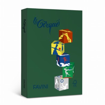 Carton Color 160g mp A4 304 Verde Christmas