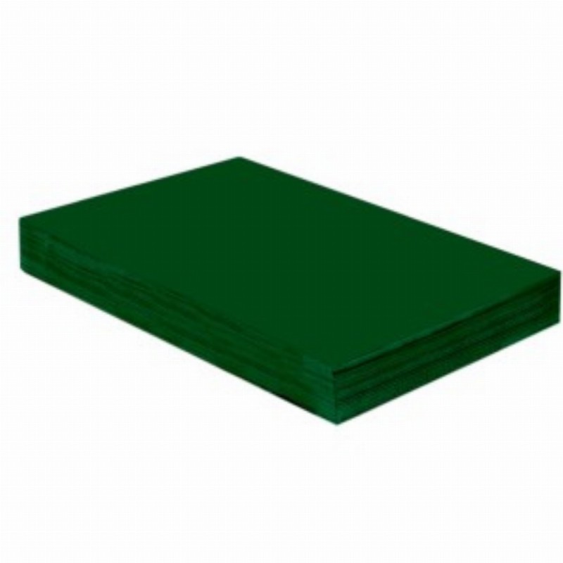 Carton Color 160g mp A4 250 Coli Verde Padure