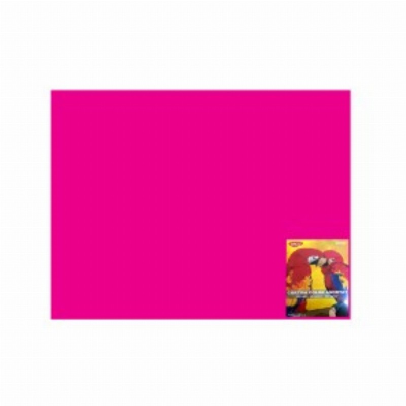 Carton Color Fucsia 46x64 10 Coli 240g mp
