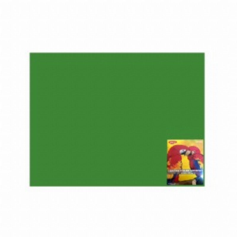 Carton Color Verde Cr 46x64 10coli 240g mp