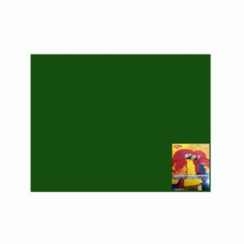 Carton Color Verde I. 46x64 10 Coli 240g mp