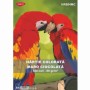 Hartie Colorata 80g Mp A4 500c. Maro Ch