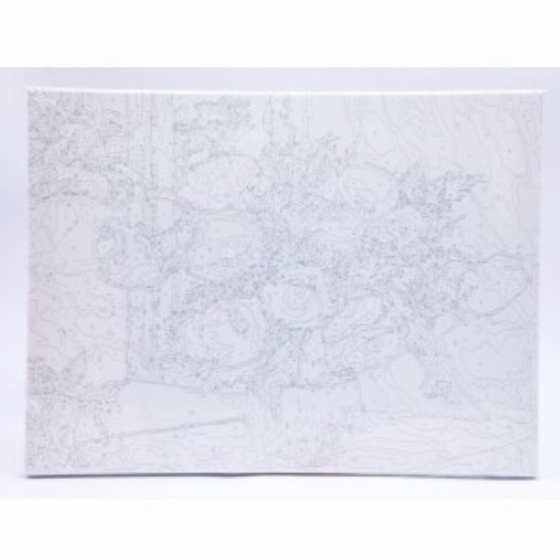 Panza Pictura Pe Numere 30x40cm