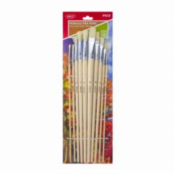 Pensula Set 10 Par Porc 10 Buc