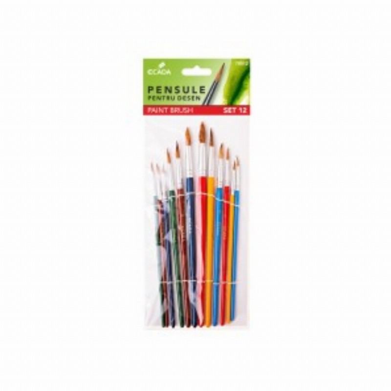 Pensula Set 12 10 Buc