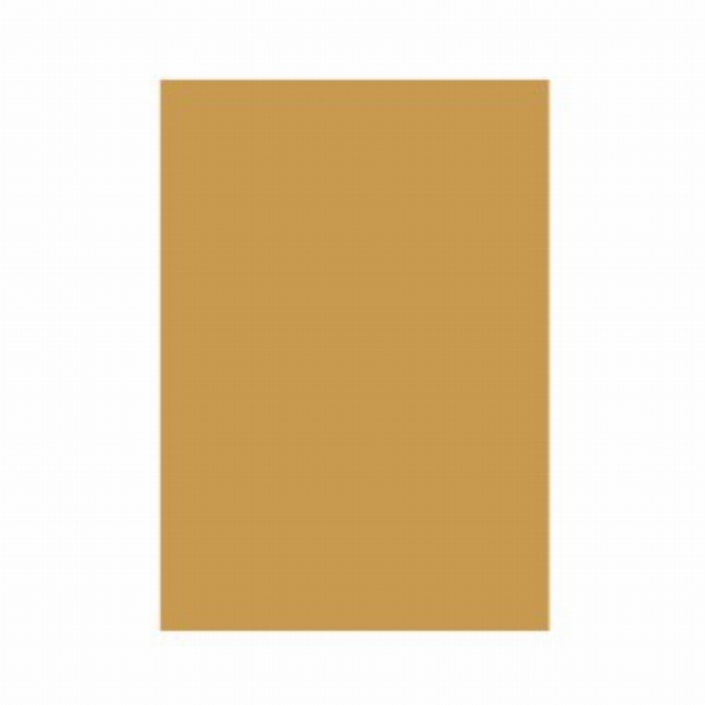 Carton Color 160g Mp A4 Auriu