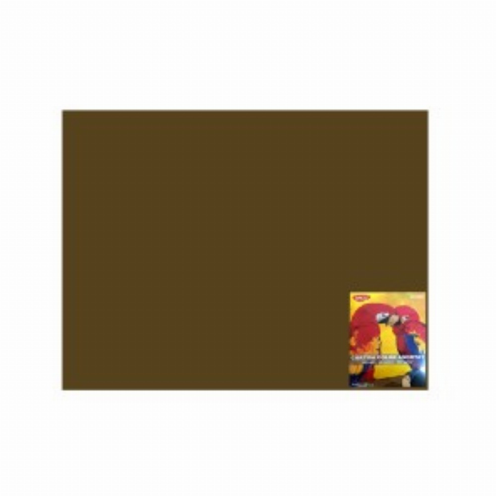 Carton Color Maro Ch. 46x64 10 Coli 240g Mp
