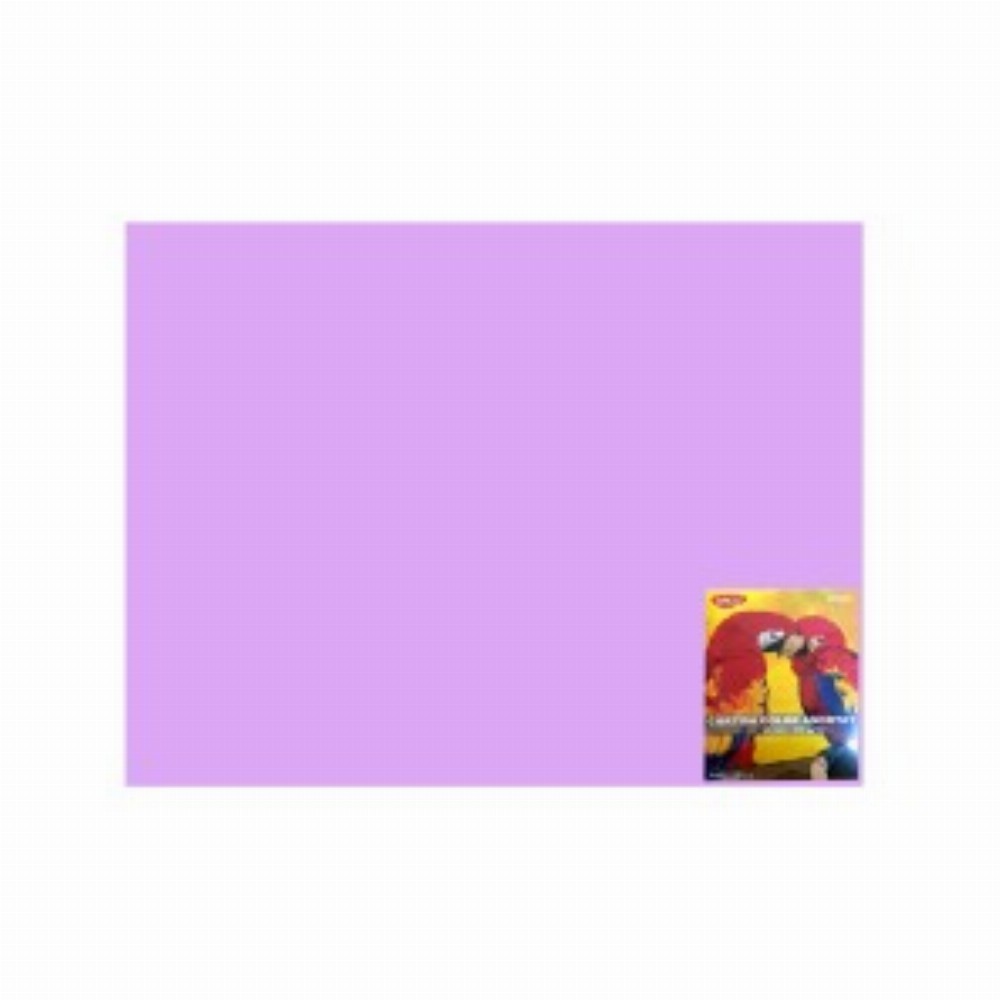 Carton Color Lila 46x64 10 Coli 240g Mp