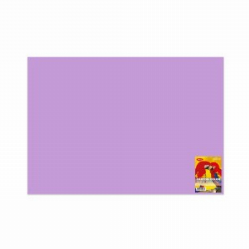 Carton Color Lila 270g Mp 70x100 10 Coli