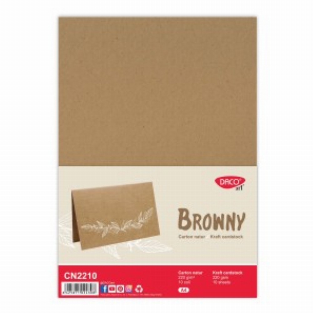 Carton Natur 220 G Mp A4 10 Coli