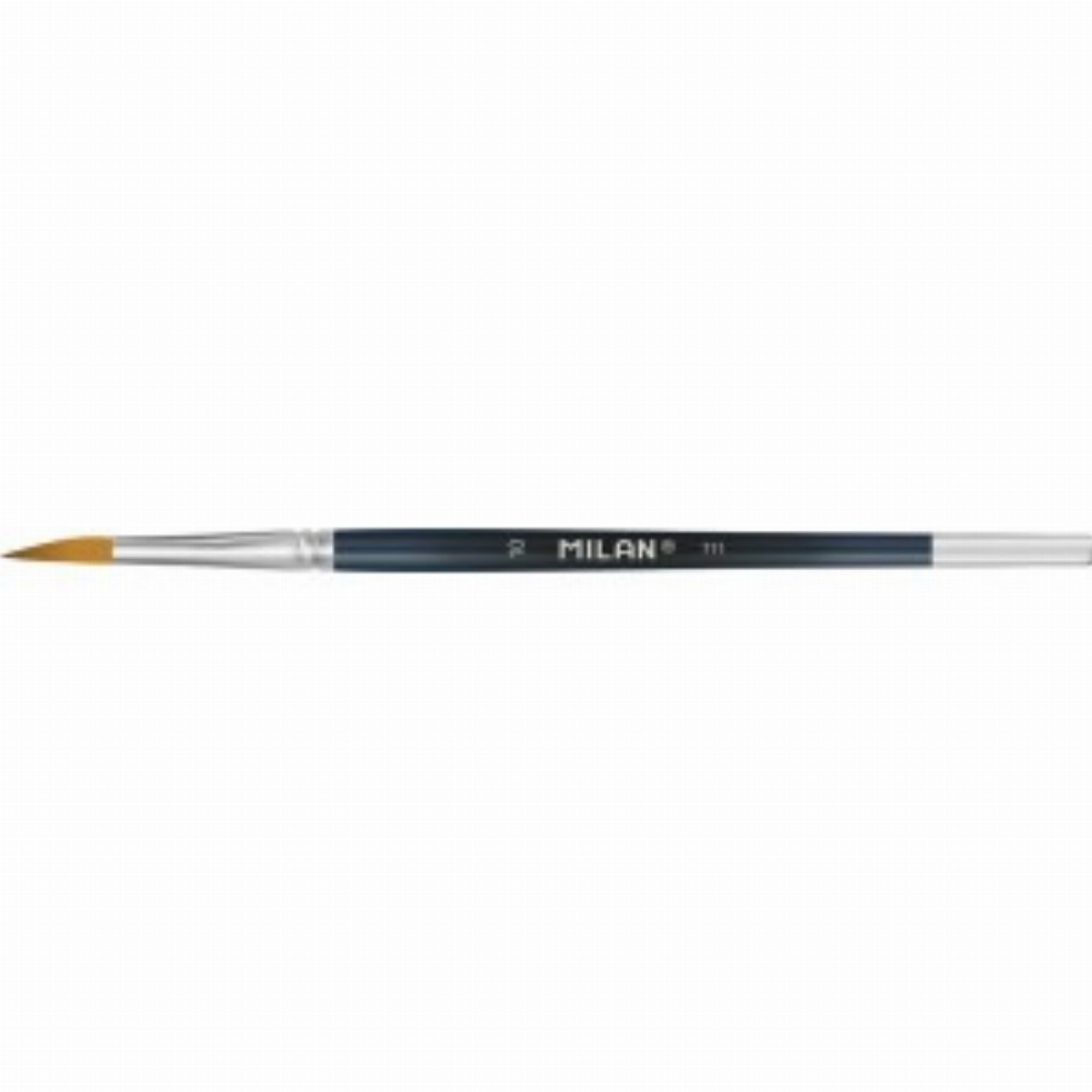 Pensula Seria 711 Nr 10 6 Buc