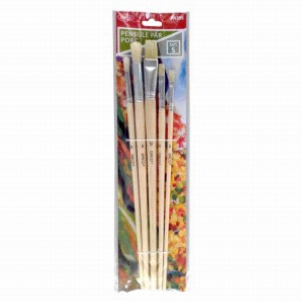 Pensule Set 5 Par Porc