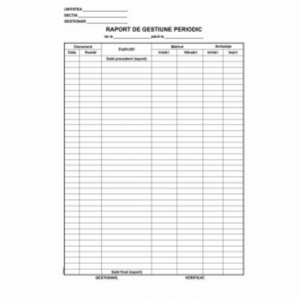 Raport Gestiune Zilnic L03486